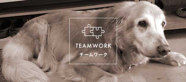 TEAMWORK チームワーク